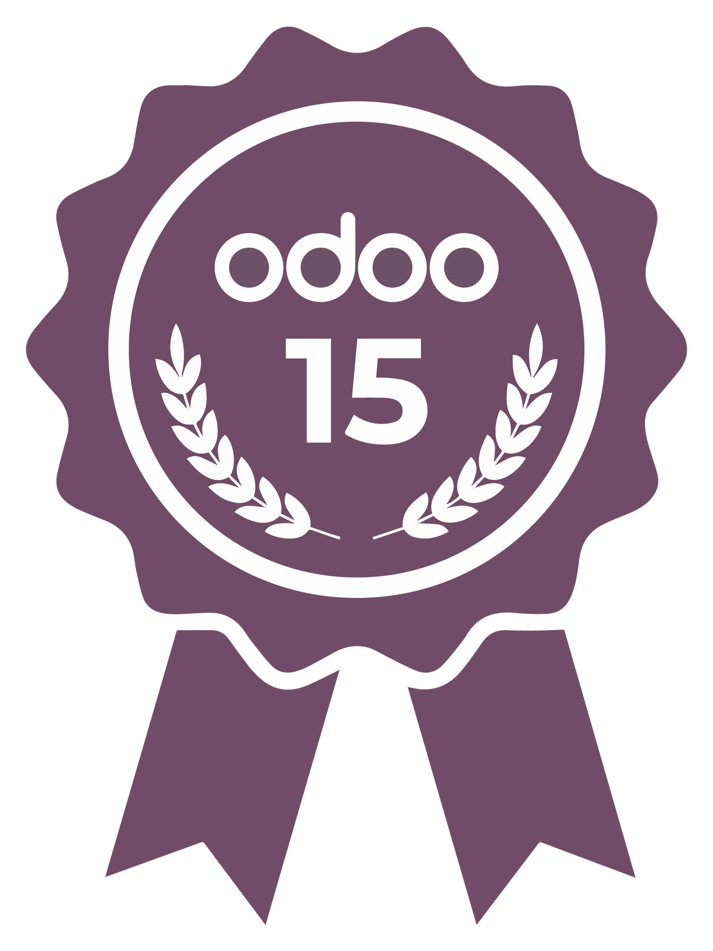 Garber, partner Certificado de Odoo 15